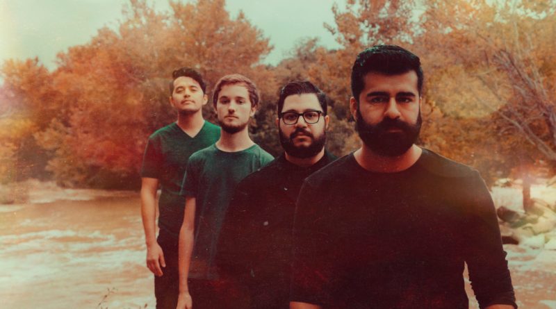 Zealand the North press image