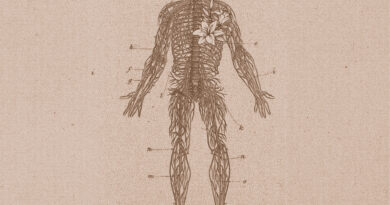 Kickin Lilies All These Bad Dreams cover