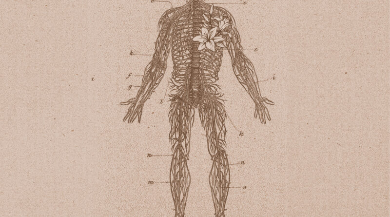 Kickin Lilies All These Bad Dreams cover