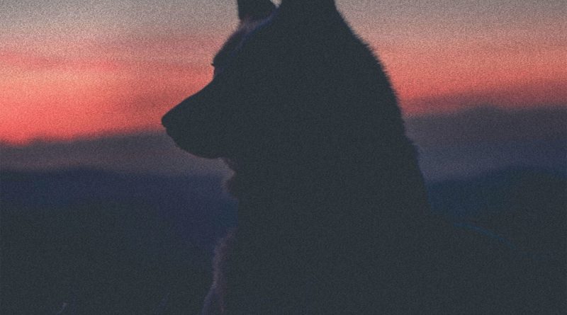 Justina Ward Spare Some Light cover