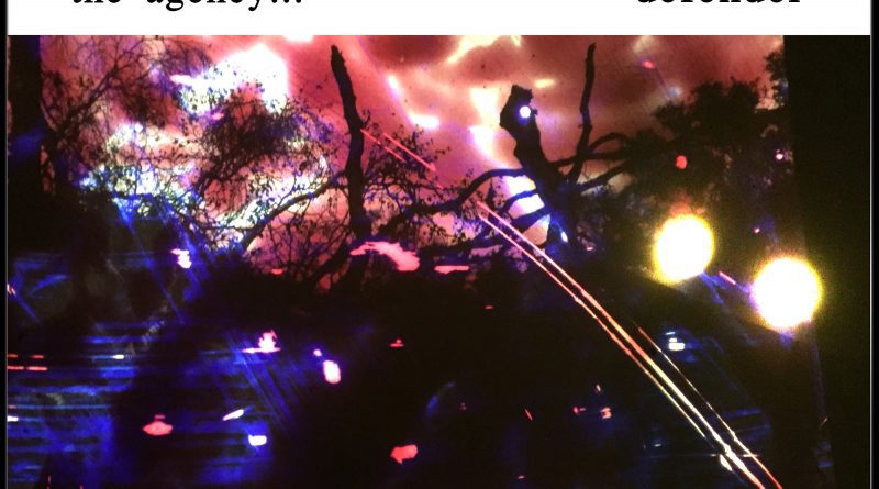 The Agency Defender cover