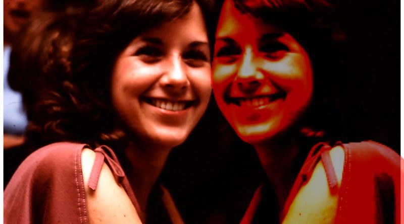 The Figurants Phantom Twin cover