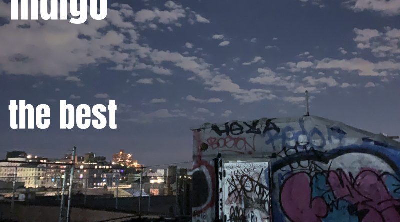 Arlo Indigo The Best cover