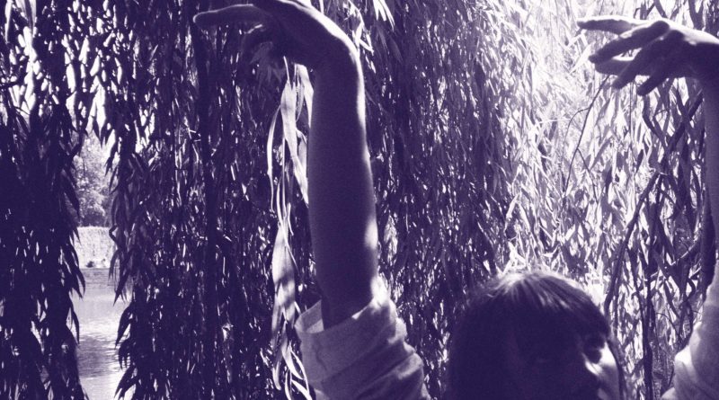 Chantel Van T Petrichor cover