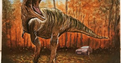 I Can Run Faster Than Your Car artwork