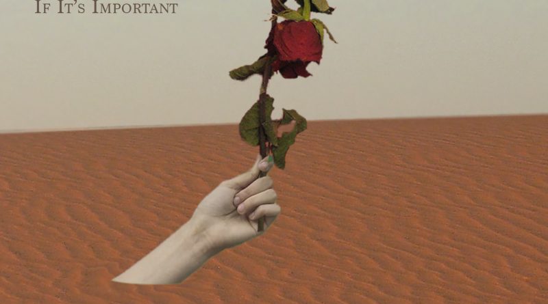 Thrillhouse If It's Important cover