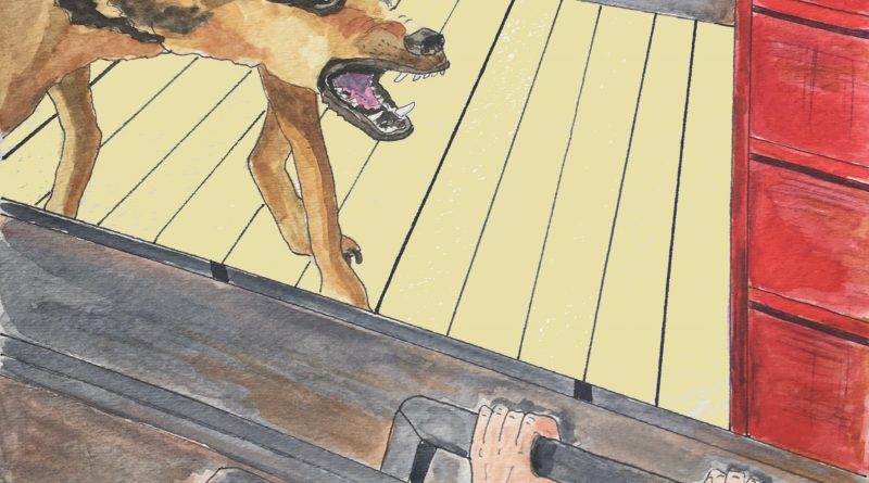 Steam Train Hearts Despair artwork