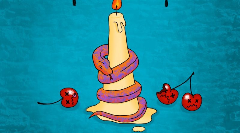 The Violet Stones Guinea Pig Artwork