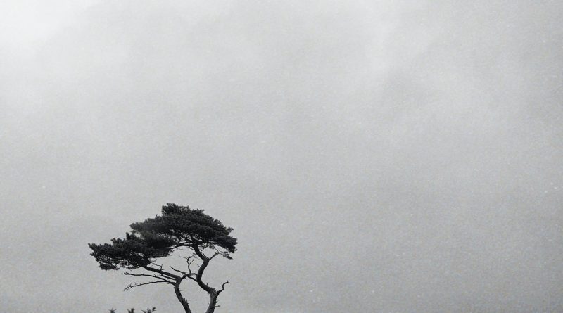 Route 500 A Horizon Awaits cover