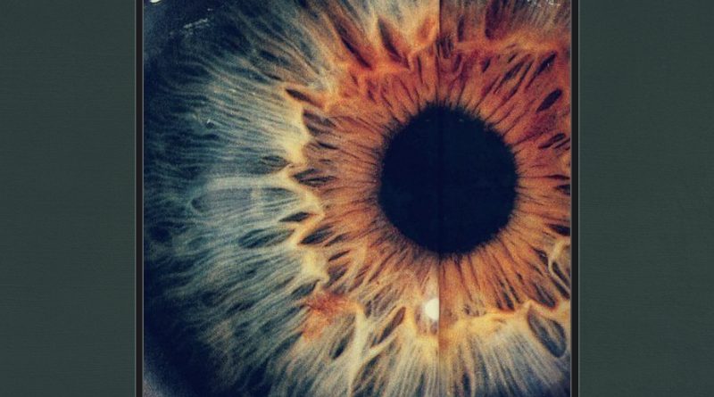 Foreignfox Fractions artwork