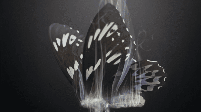 Tenuous Threads Controlled Landing artwork