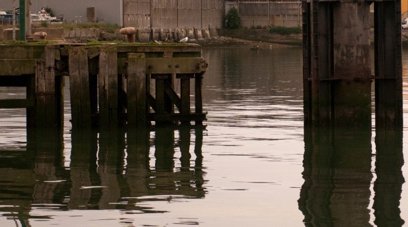 Spinball Seagulls cover