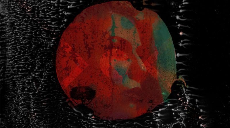 Secret Treehouse Overrated artwork