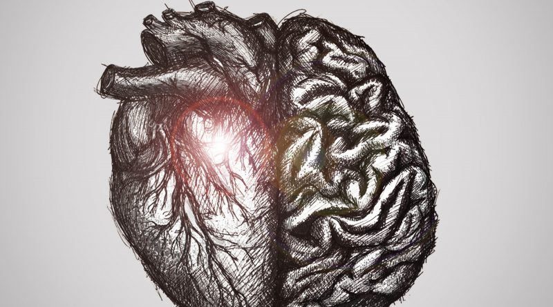 Divisions Quiet Frustrations cover