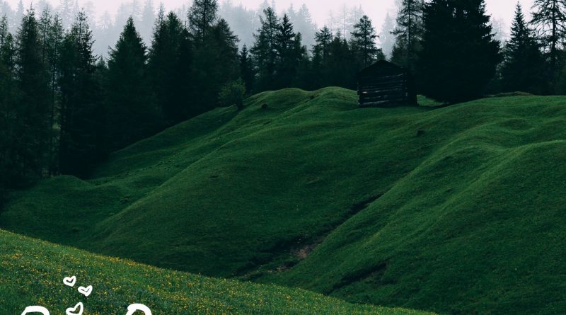 Shawn Mathews Next To Me cover