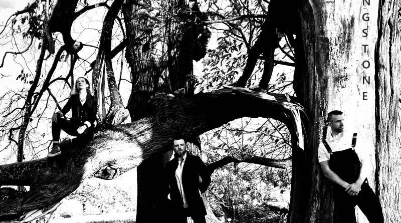 Third Lung Falling Stone cover