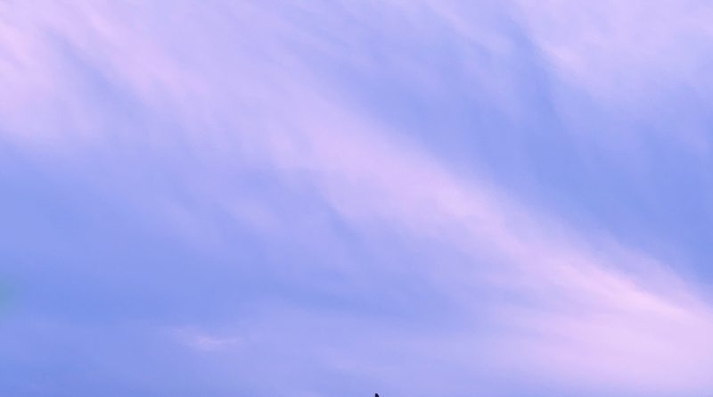 Sofia Dragt Another One