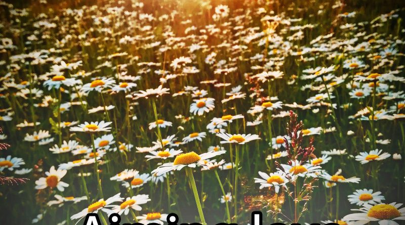 matt gadi aiming love