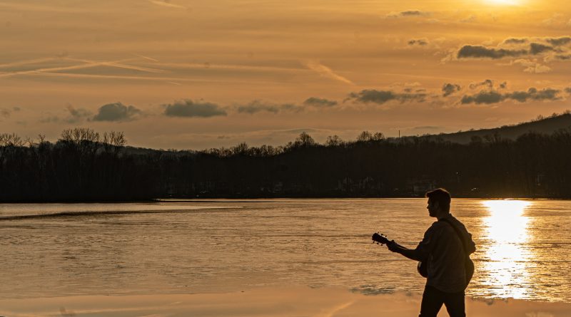 RynoFish Hot Summer Nights single cover