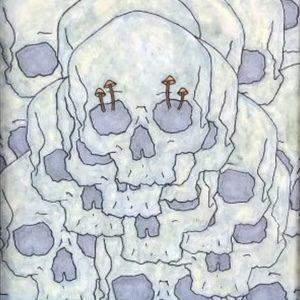 The Meskimo The Most Delightful Dirge single cover