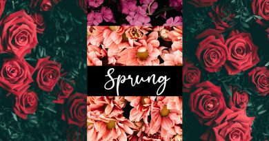 Alan Starks Sprung single cover