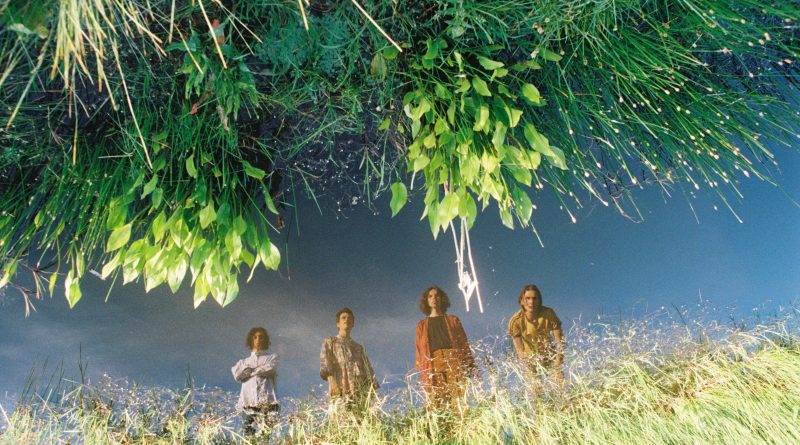 caramel dream of 60s counterculture