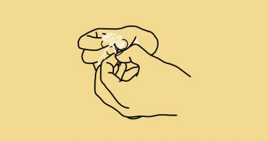 Chris Pidsley Daisies