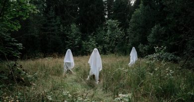 Gentle Ghosts artwork
