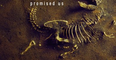 Bones In Butter This Is Not What You Promised Us