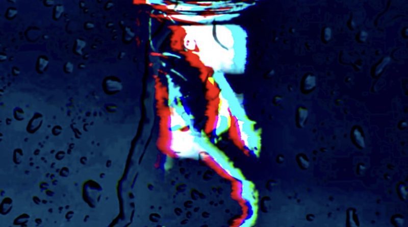 Palm Trees In Moscow