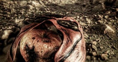 Fatal Nightmare Rotten Apple single cover