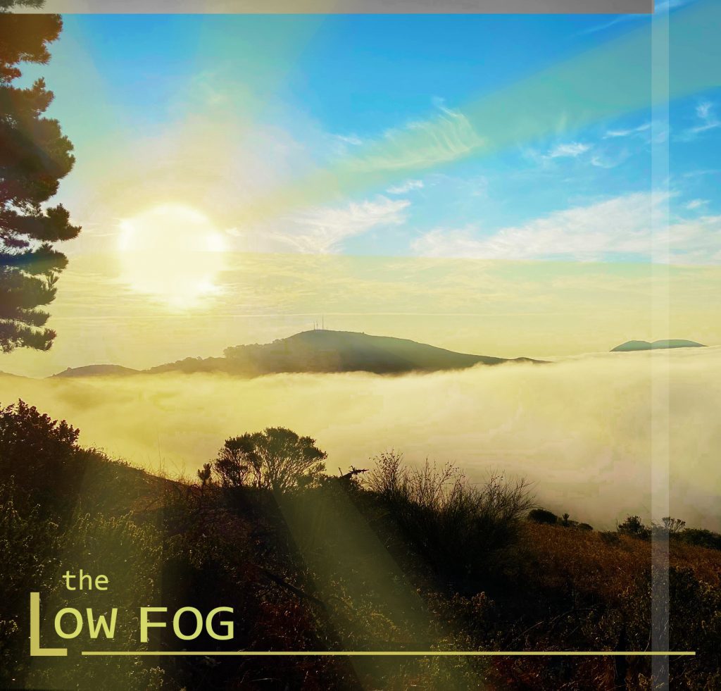 The Low Fog