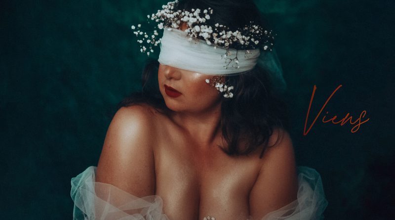 divine&acajou Veins single cover