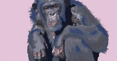 My Friend The Chimpanzee I Love This Place