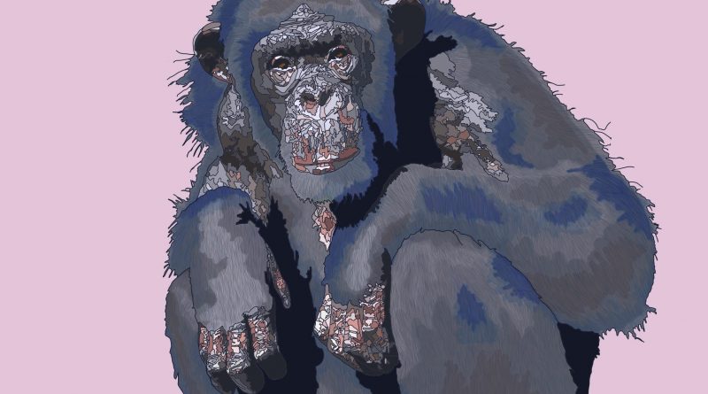 My Friend The Chimpanzee I Love This Place