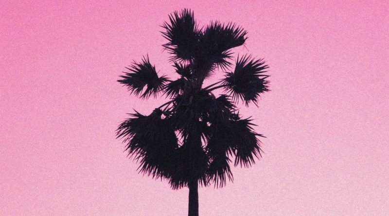 Motherland - Ocean Drive