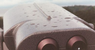 Tyler Elden - Trial By Fire Cover Art