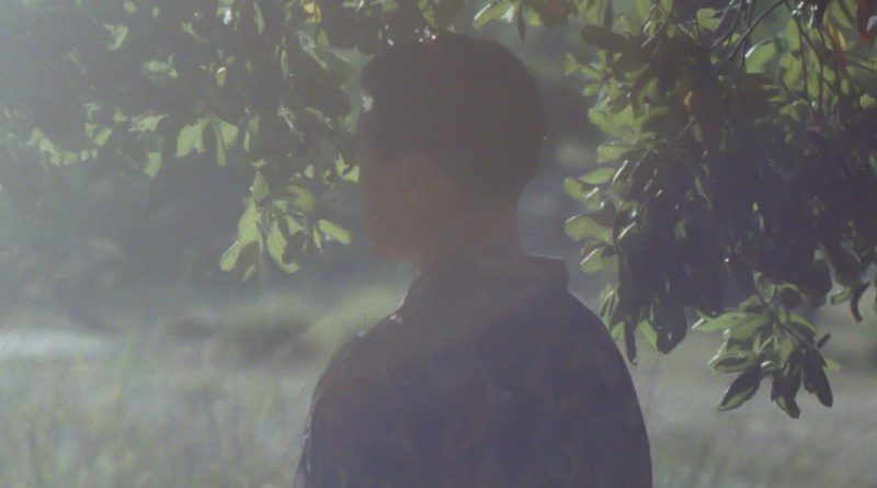 Onbar-CHANCE-12_CHANCE