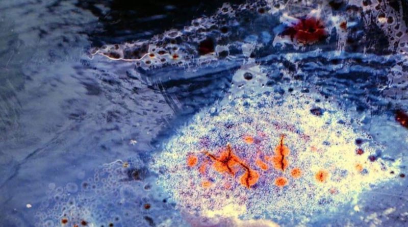 stereo sunrise - outside