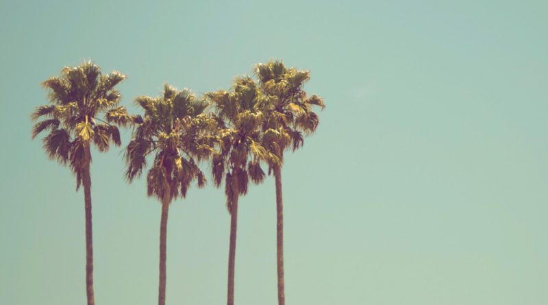 Andrew J - Summer Days