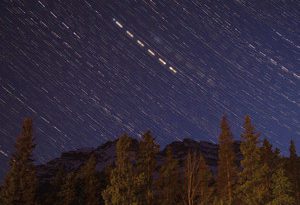 paytron saint - treeline