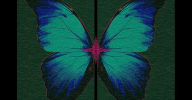 louis and the shakes - sorryx