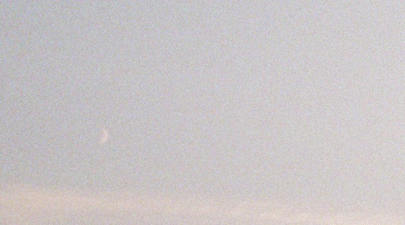 naomi pacifique - somewhere_between_eating_and_dreaming