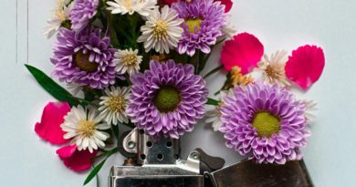 ryan yingst ft tophouse - chaos