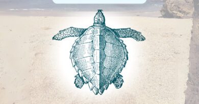 abby london - i wanna go