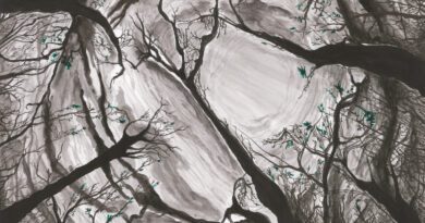 a cause in distress - in search of spring