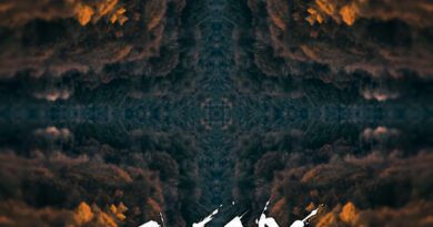 svynx - harvest season