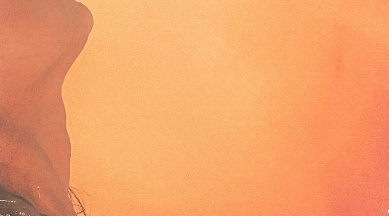 trash pals - perfect dream