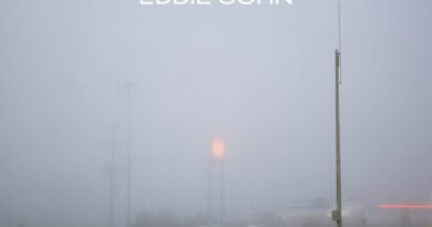 eddie cohn - wave goodbye