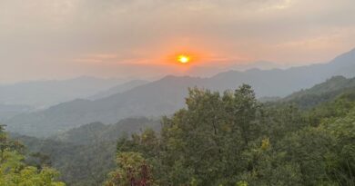 matthew read - need it most